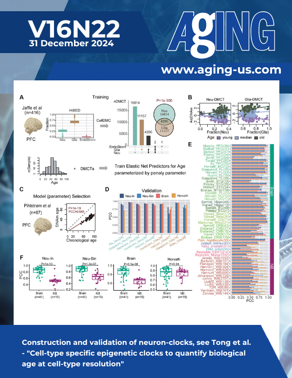 Cell-type specific epigenetic clocks to quantify biological age at cell-type resolution